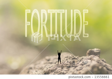 concept of courage concept of courage 13556661