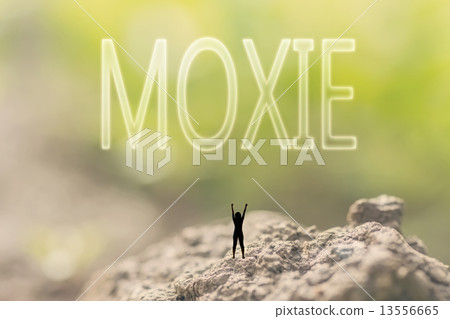 concept of courage 13556665