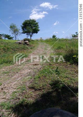 一條小山到山上 一條小山到山上 13557046