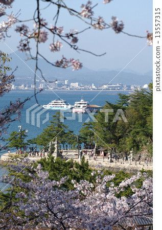 Spring Miyajima liaison ship 13557315