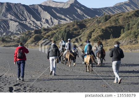 Tourists riding horses on black sand at foot of crater Tourists riding horses on black sand at foot of crater 13558079