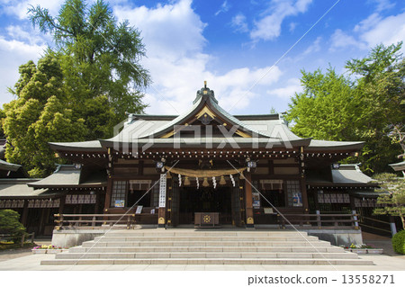 和泉神社 13558271