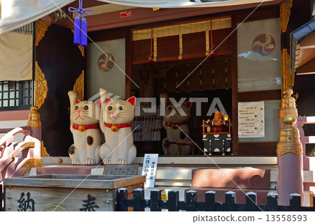 步行淺草·幸運貓Imoto神社 步行淺草·幸運貓Imoto神社 13558593