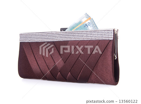 wallet. woman wallet with money on a background 13560122