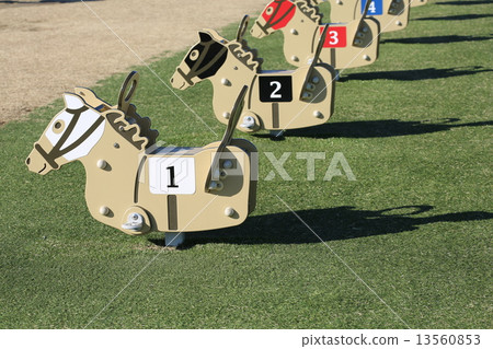 Nakayama racecourse green square horses 13560853