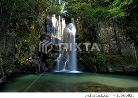Mulberry waterfall 13560925