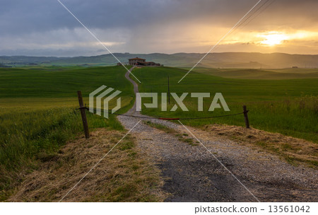 Orcia valley in the misty morning, Tuscany, Italy 13561042