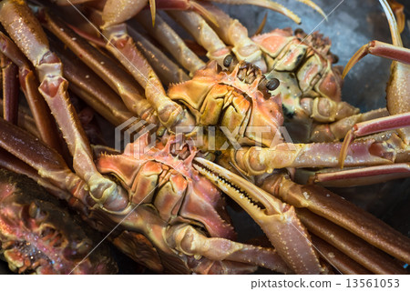 Fresh crabs at seafood market 13561053