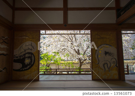 Cherry blossoms at Togansuji Cherry blossoms at Togansuji 13561073