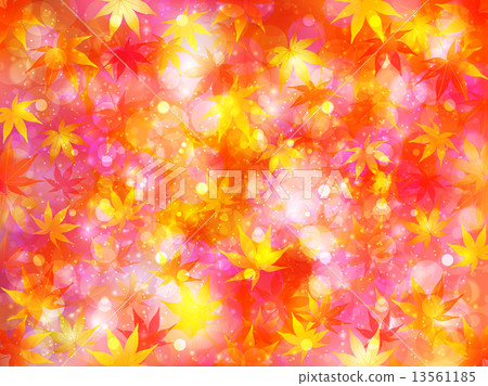 Maple autumn leaves background Fall Maple autumn leaves background Fall 13561185