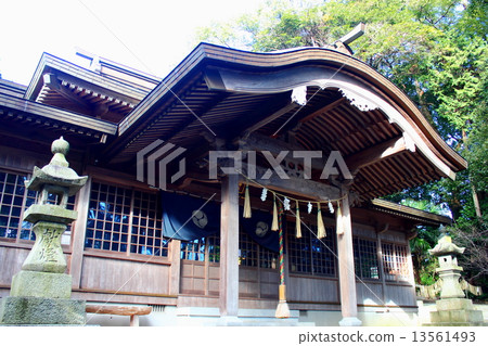 Kotorijimi Shrine in Kitakyushu 13561493