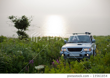 Car in a meadow 13561854