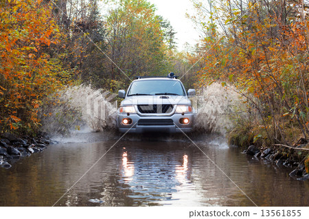 Autumn ride 13561855