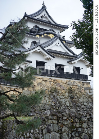 彥根城堡/彥根城堡 彥根城堡/彥根城堡 13563016