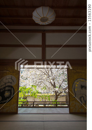 A garden A garden 13563190