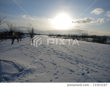 Winter sun 13563287