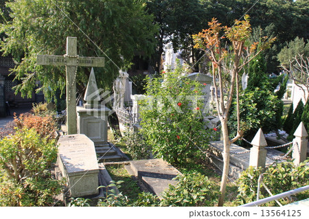St. Michael's Cemetery 13564125