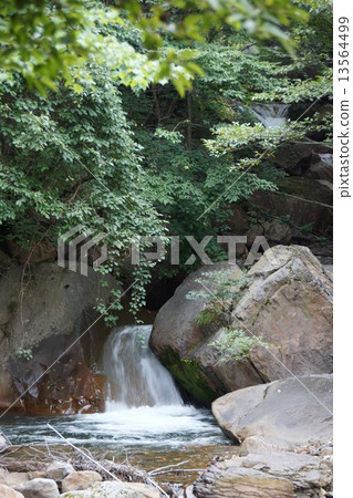 Yonago large waterfall neighborhood (Yonago River) 13564499