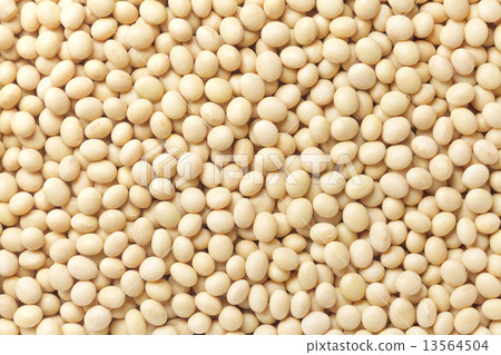 Domestic organic soybeans Domestic organic soybeans 13564504