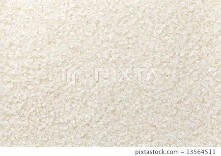 White rice (Koshihikari) 13564511