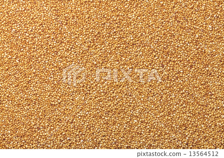 Sesame syrup 13564512