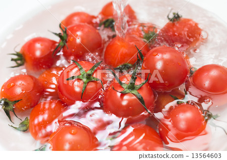 Fresh mini tomato to wash with water Fresh mini tomato to wash with water 13564603