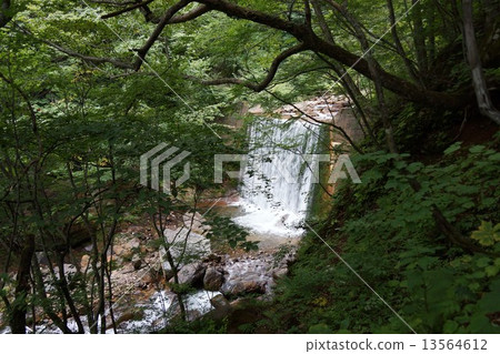 米子大瀑布附近（Yonagawa Kotakiri） 13564612