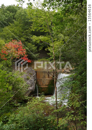 米子大瀑布附近(Yonagawa Kotakiri) 米子大瀑布附近(Yonagawa Kotakiri) 13564616