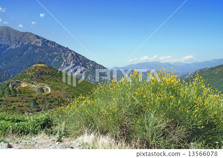 Landscape in Corsica 13566078