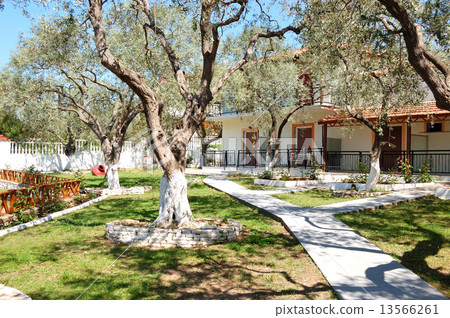 Traditional Greek small hotel, Thassos island, Greece 13566261