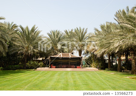 Lounge area at hotel, Sharjah, UAE 13566273