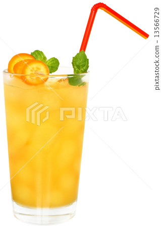 Citrus cocktail with orange juice and slice kumquat 13566729