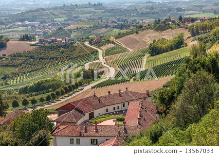 Rural house, vineyards and road in Italy. 13567033