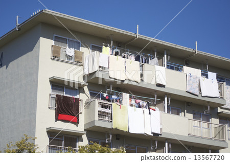 餐廳場景蒲團乾燥 餐廳場景蒲團乾燥 13567720