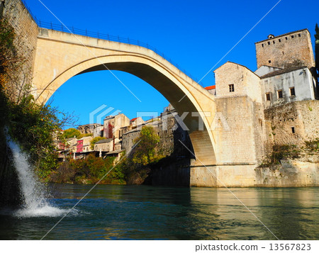 星光大多數 13567823