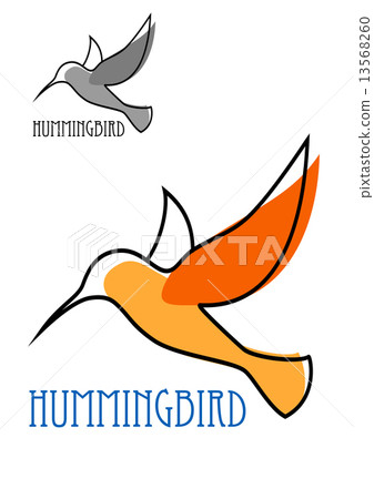Flying orange hummingbird in outline sketch style 13568260