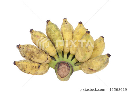 Cultivated banana isolated on white background. Cultivated banana isolated on white background. 13568619