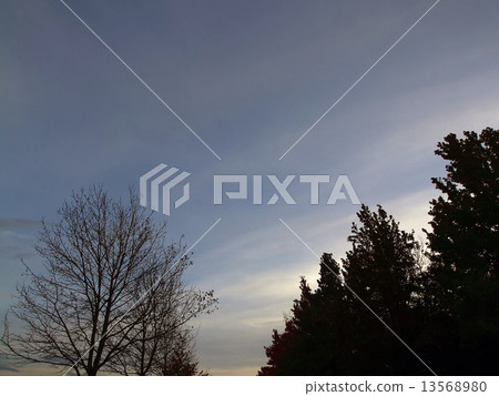 Suzuki kenoki 13568980