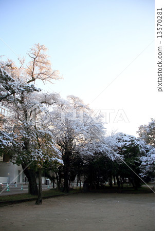 Hiroshima Castle 13570281