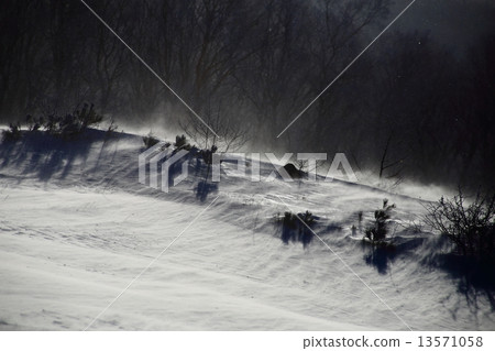 被強風吹的雪原 13571058
