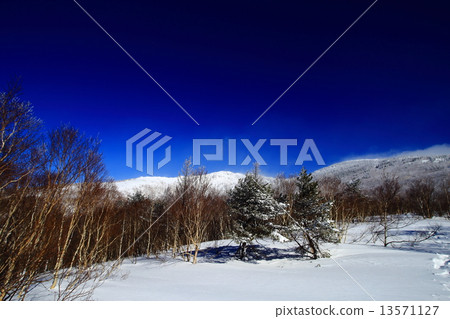 Snowscape of Sugadaira, Nagano Prefecture 13571127