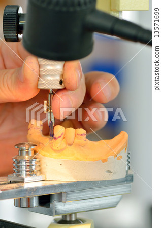 Dental technician measuring dentures 13571699