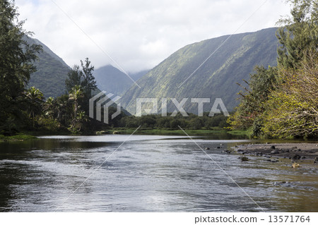 beautiful river - waipio valley, hawaii 13571764