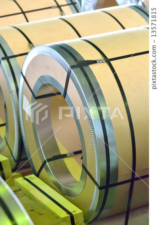 sheel rolls 13571815