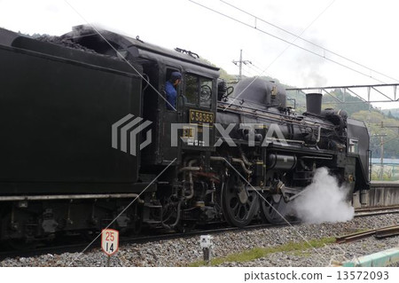 Pareo Express Pareo Express 13572093