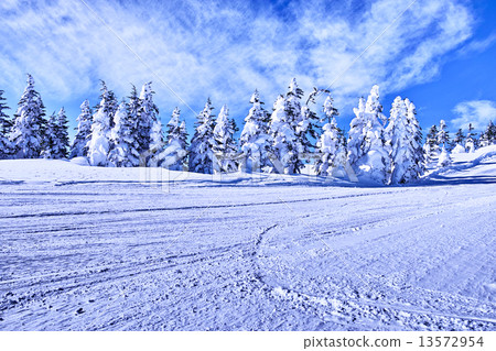 Ski slopes 13572954