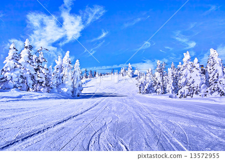 Ski slopes Ski slopes 13572955