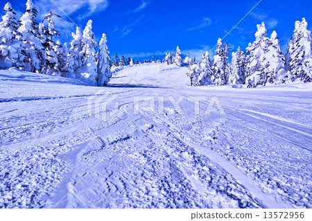 Ski slopes Ski slopes 13572956