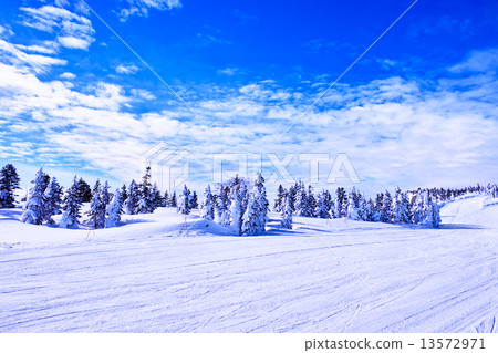 滑雪場 滑雪場 13572971