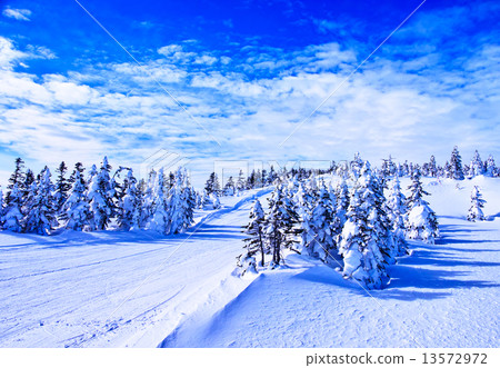 滑雪場 滑雪場 13572972